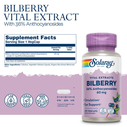 SOLARAY Bilberry Berry Extract 60 mg per Capsule | Vision & Circulation Support | 120 VegCaps