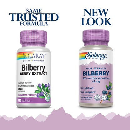 SOLARAY Bilberry 42 mg - Eye Health & Circulation (Vegan, 120 VegCaps)