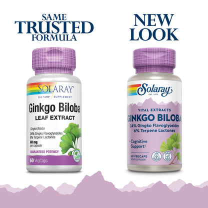 Solaray Ginkgo Biloba Extract 60 mg – 60 Count (Pack of 2) | Herbal Supplement