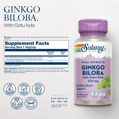 Solaray Ginkgo Biloba with Gotu Kola – Brain Health, Vegan, Lab Verified, 60-Day Guarantee (Pack of 2)