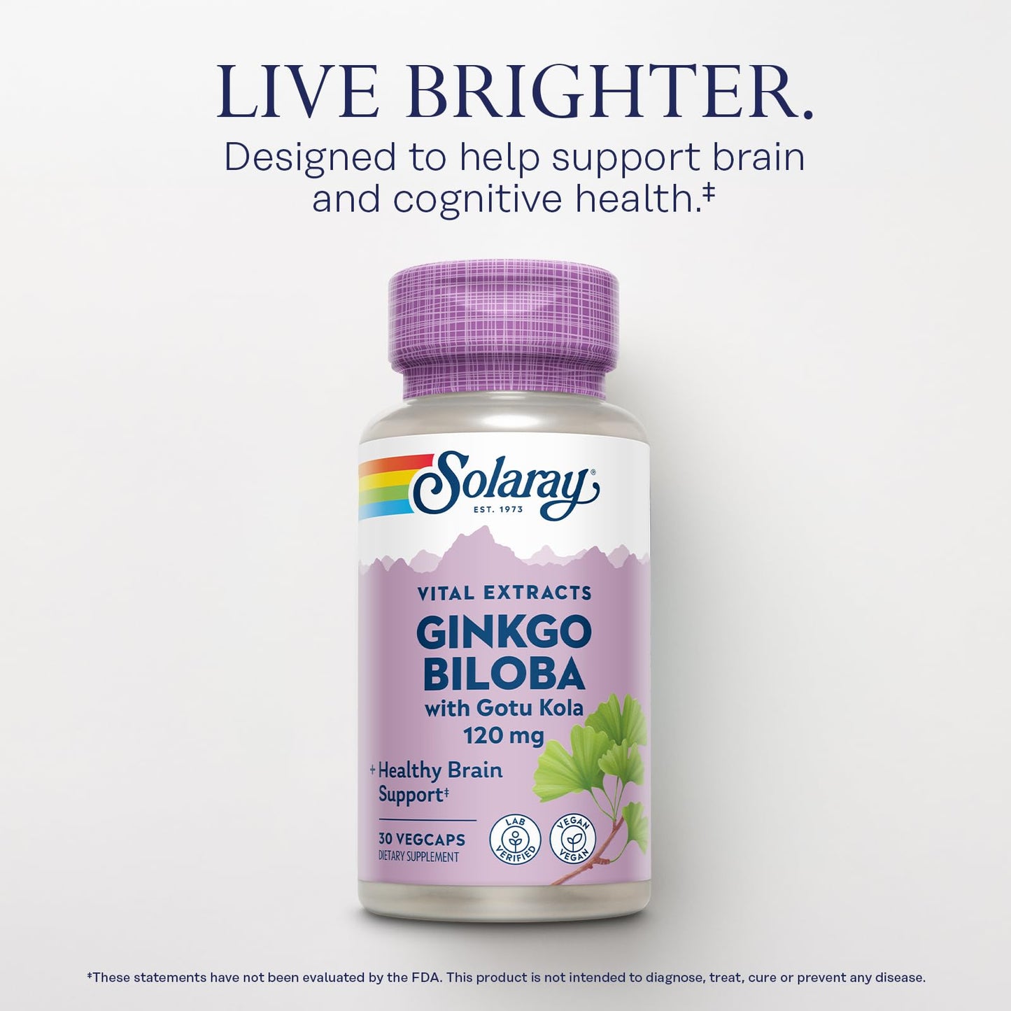 Solaray Ginkgo Biloba with Gotu Kola – Brain Health, Vegan, Lab Verified, 60-Day Guarantee (Pack of 2)