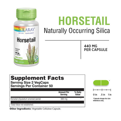 SOLARAY Horsetail 880 mg | Silica Supplement for Healthy Hair, Skin, Nails & Joint Support | 50 Servings | 100 VegCaps