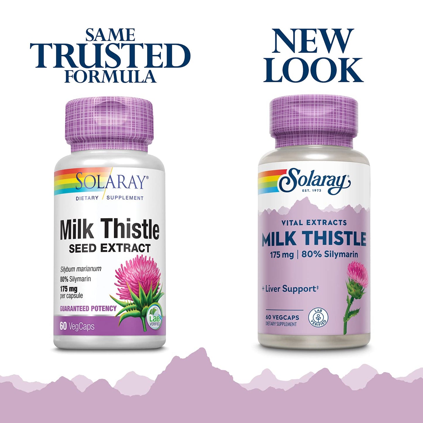 SOLARAY Milk Thistle Seed Extract 175mg – Antioxidant Liver Support, Non-GMO & Vegan