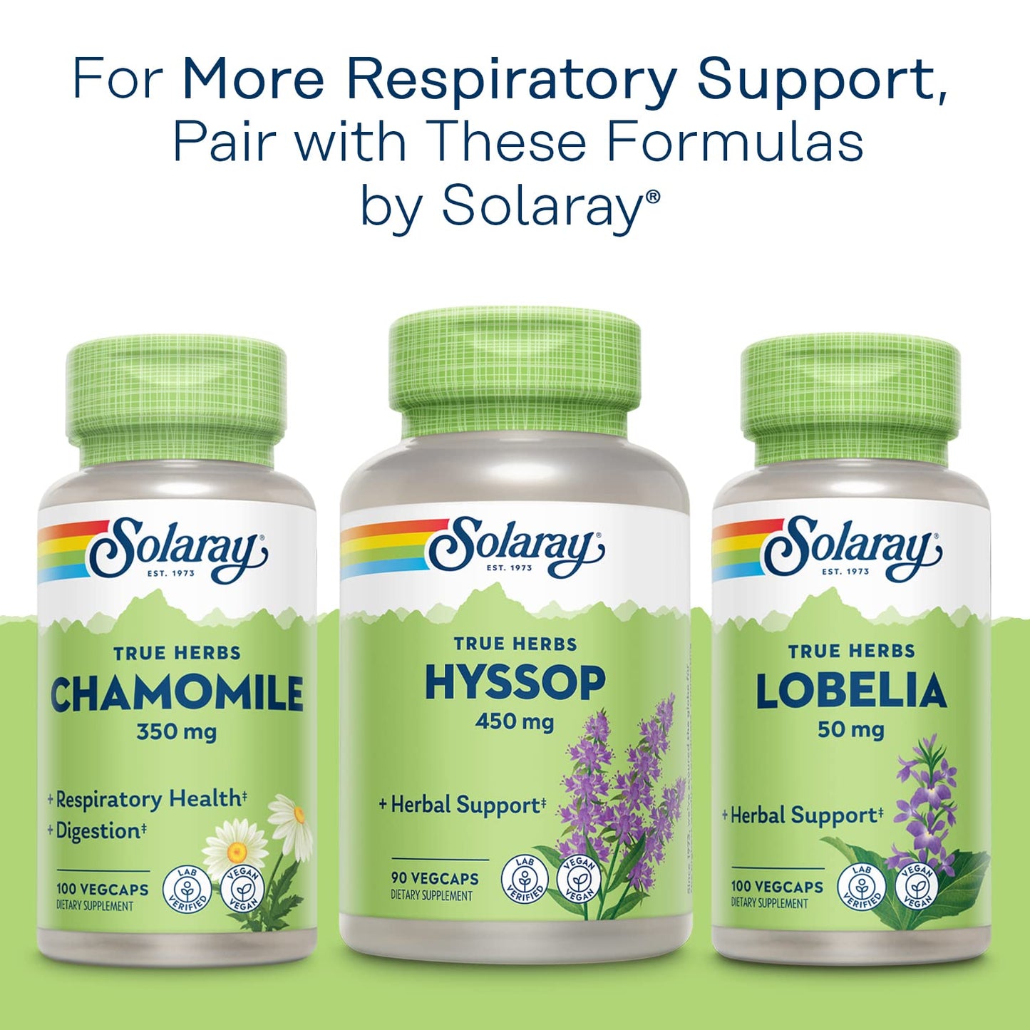 SOLARAY Mullein Leaf 330mg – Respiratory Support, Vegan, 100 Servings (Pack of 2)