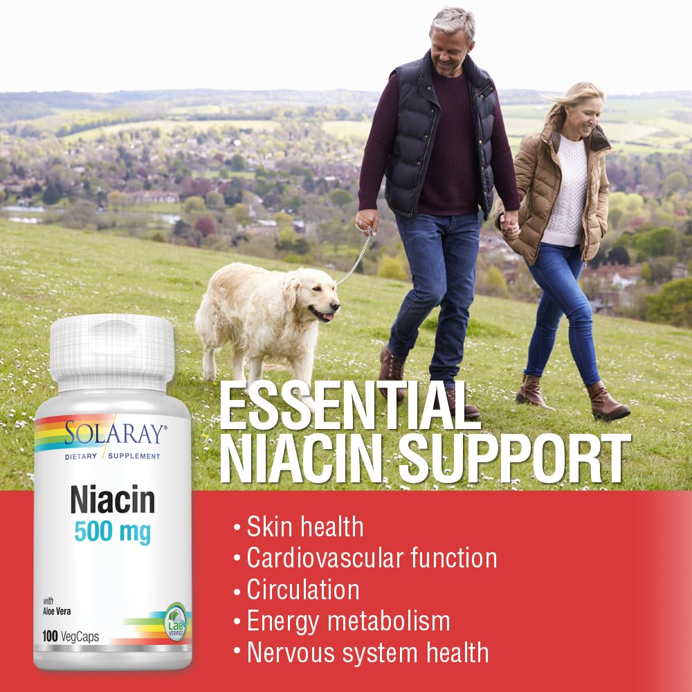 SOLARAY Niacin 500 mg Vitamin B3 | Skin Health, Nervous System & Circulation Support | 100 Count