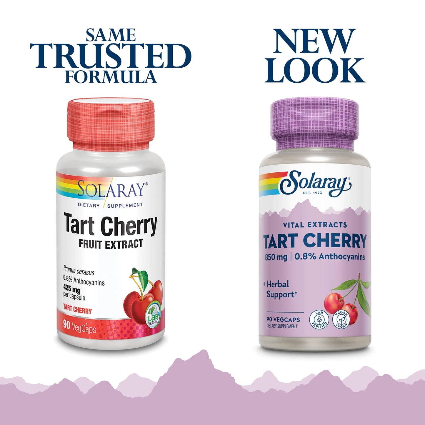 Solaray Tart Cherry Capsules 850mg – 0.8% Anthocyanins, Vegan, 45 Servings