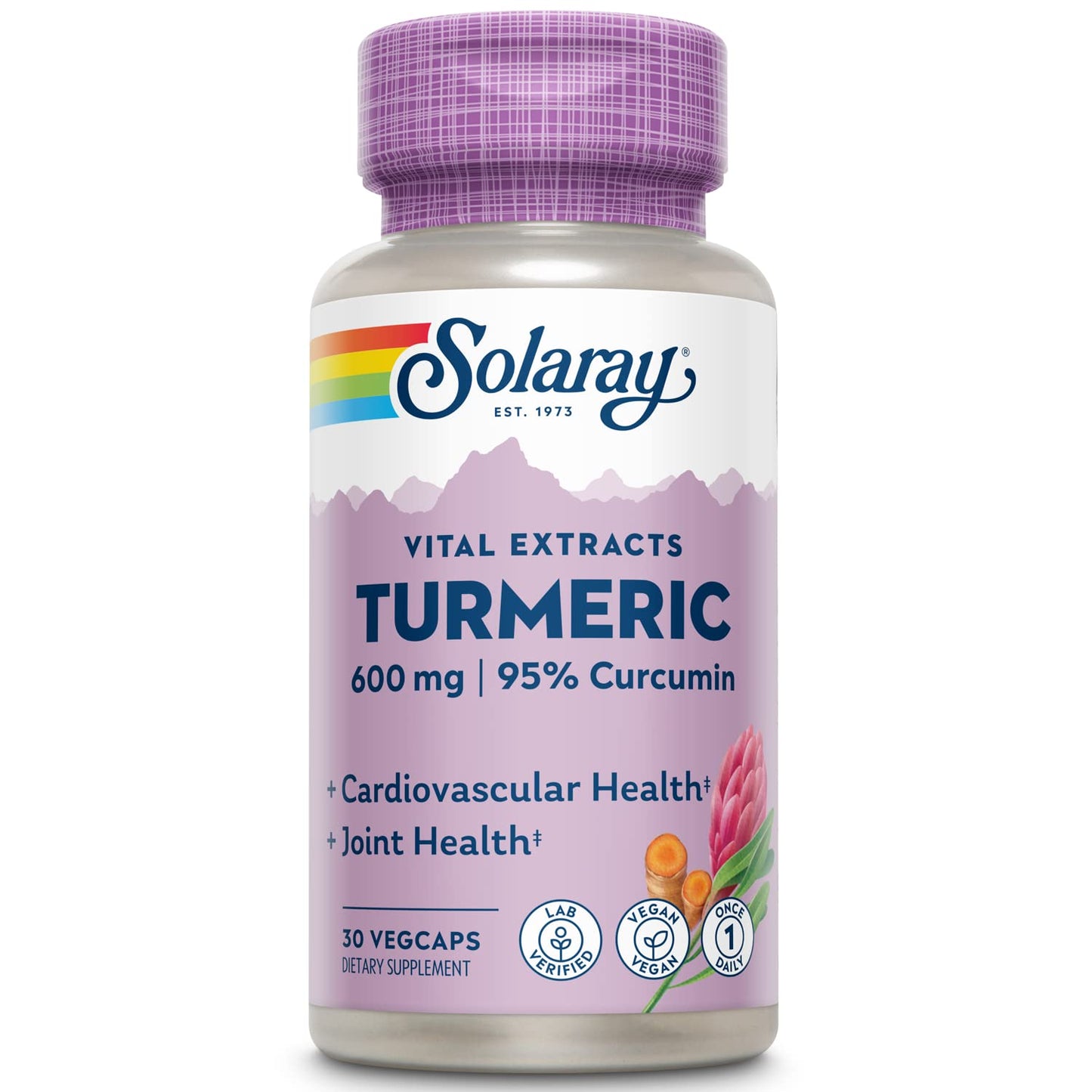 SOLARAY Turmeric 600mg – 95% Curcuminoids | Joint, Gallbladder & Liver Support