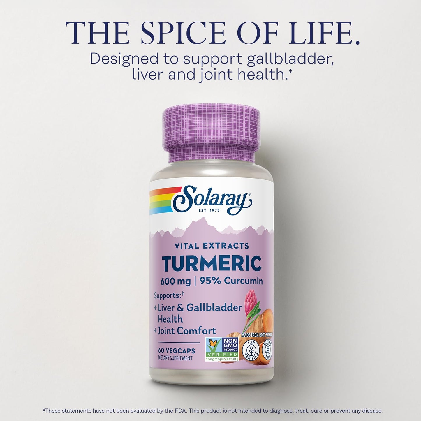 SOLARAY Turmeric 600mg – 95% Curcuminoids | Joint & Liver Support