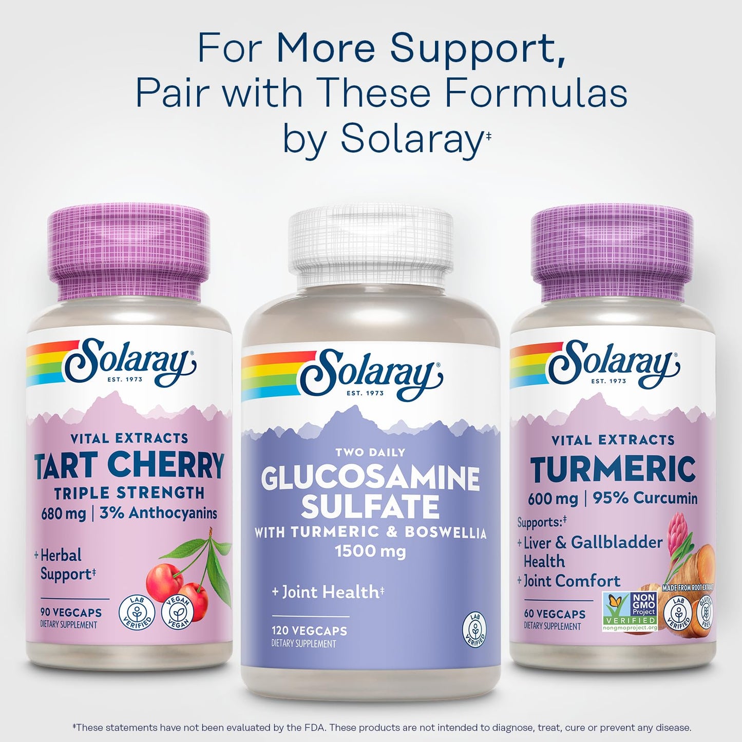SOLARAY Turmeric 600mg – 95% Curcuminoids | Joint & Liver Support