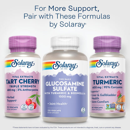 SOLARAY Turmeric 600mg – 95% Curcuminoids | Joint & Liver Support