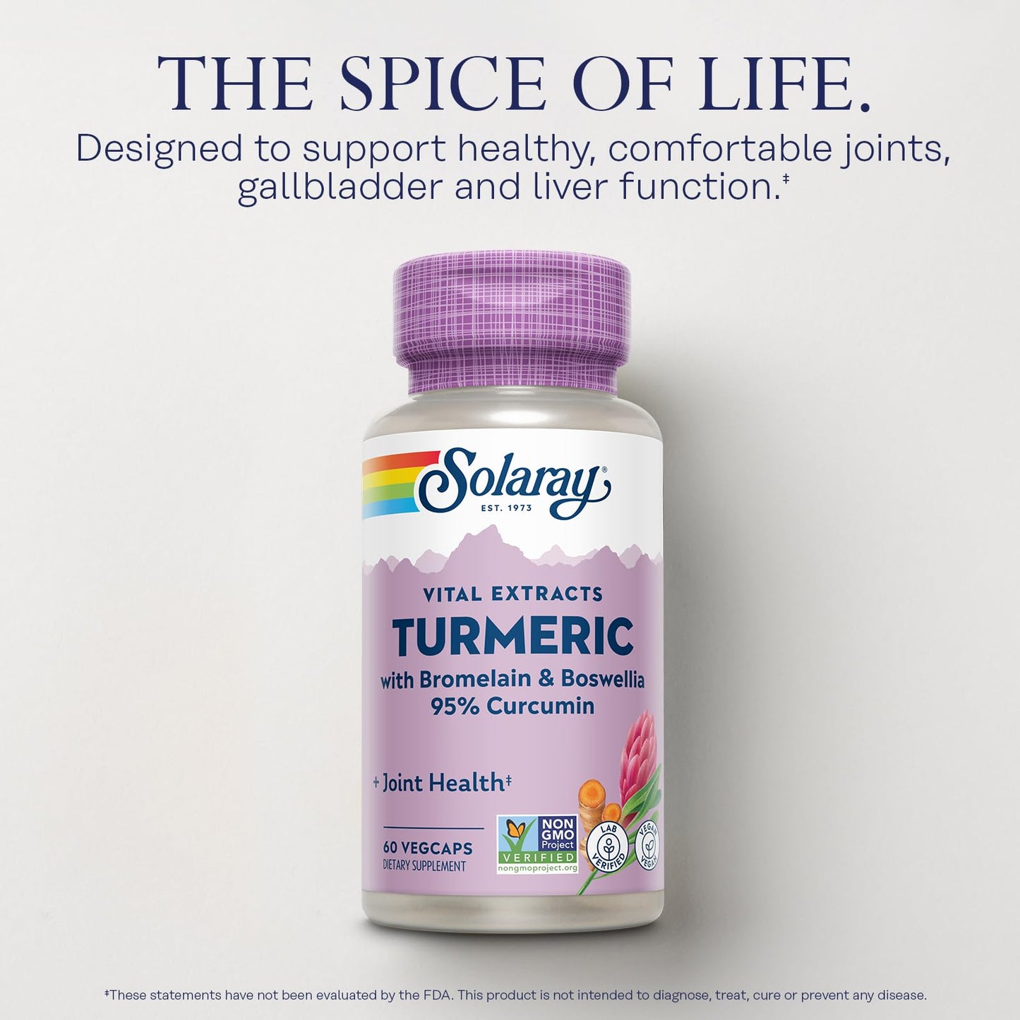 SOLARAY Turmeric Curcumin Supplement with Bromelain & Boswellia – 95% Curcumin, 60 Servings, Vegan