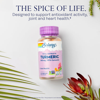 SOLARAY Turmeric 300 mg – Joint Support (95% Curcumin) – Vegan, Lab Verified, 120 CT