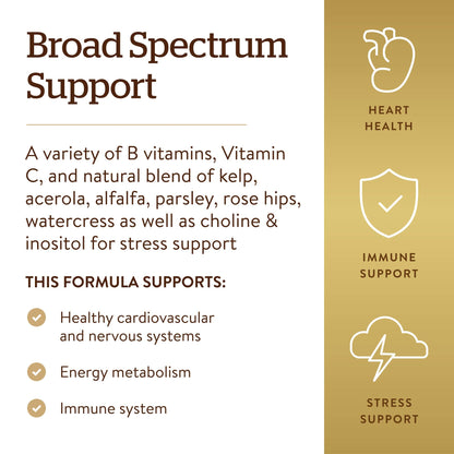 Solgar B-Complex with Vitamin C Stress Formula - 250 Tablets | Energy Metabolism, Nervous System & Immune Support