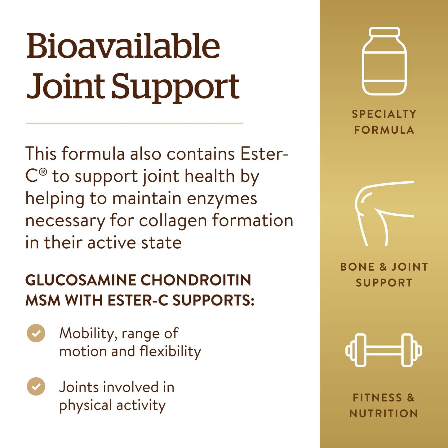 Solgar Glucosamine Chondroitin MSM Ester-C – 180 Tablets | Joint Support