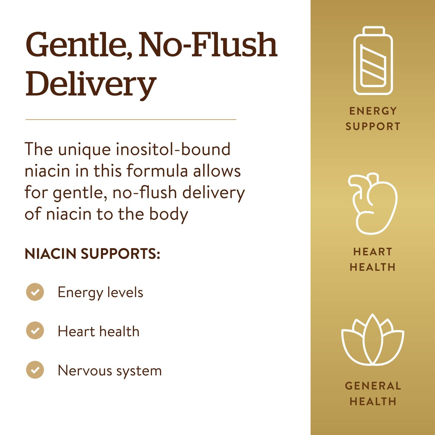 Solgar No-Flush Niacin 500 mg – 250 Veg Caps | Energy Metabolism