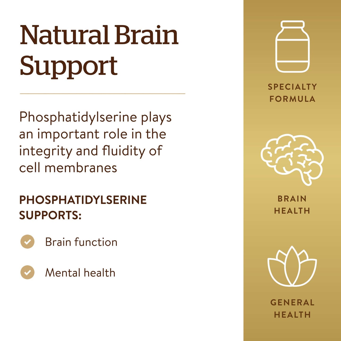 Solgar Phosphatidylserine 200 mg Softgels – 60 Servings | Premium Brain Health