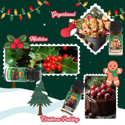 Soulorigin Christmas Essential Oils Set | Fragrance Oils for Diffusers & Candle Making