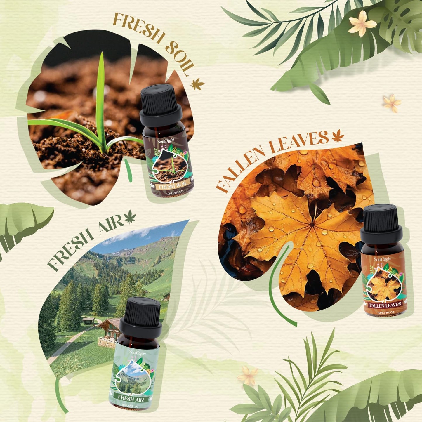 Soulorigin Woodland Fragrance Oils Set – Essential Oil Gift for Diffusers (Forest Pine, Teak, Bamboo, Fresh Soil, Fallen Leaves, Fresh Air)