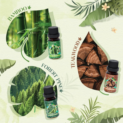 Soulorigin Woodland Fragrance Oils Set – Essential Oil Gift for Diffusers (Forest Pine, Teak, Bamboo, Fresh Soil, Fallen Leaves, Fresh Air)