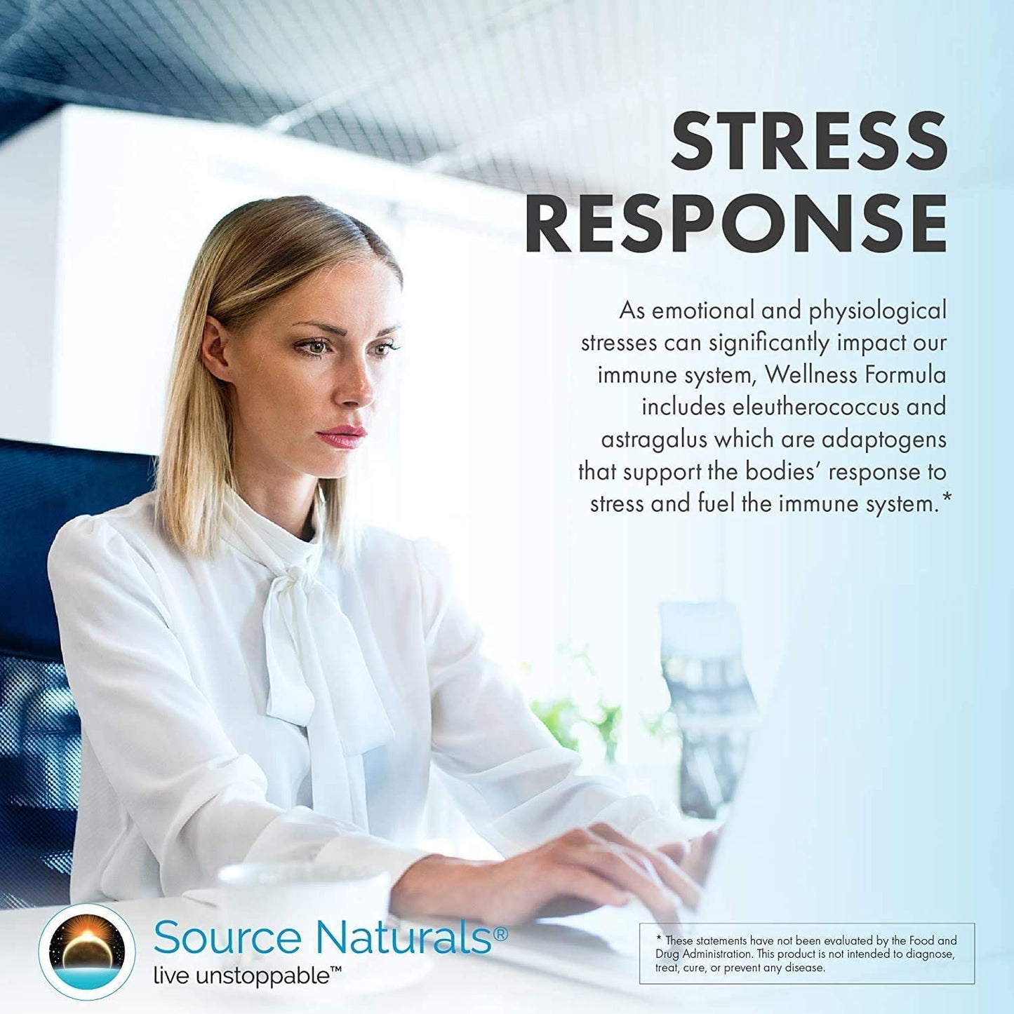 Source Naturals Wellness Formula 240 Capsules – Immune Support