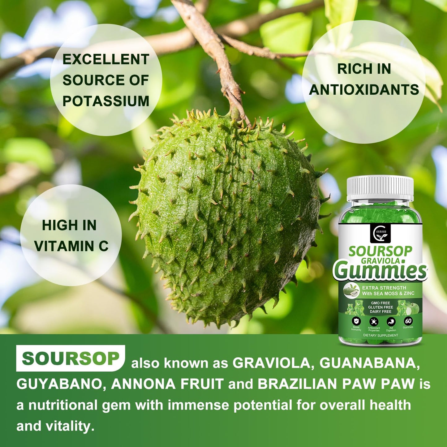 (2 Pack) Soursop Graviola Gummies - 2200mg Leaf Extract, Vitamin C, Sea Moss & Zinc