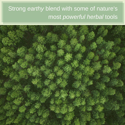 SpeedyVite® Blood Lifeboost Tea - Supports Waste Removal from Bloodstream*