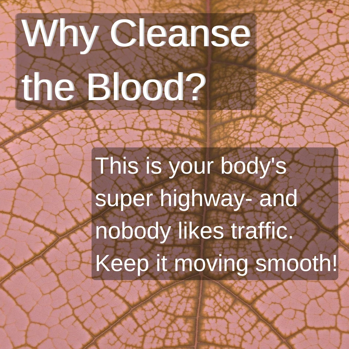 SpeedyVite Blood Cleansing LifeBoost Tea Organic – Herbal Immune Support