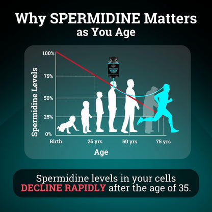 Spermidine Supplement 1440mg – 99% Pure, 4 Months Supply for Cellular Health