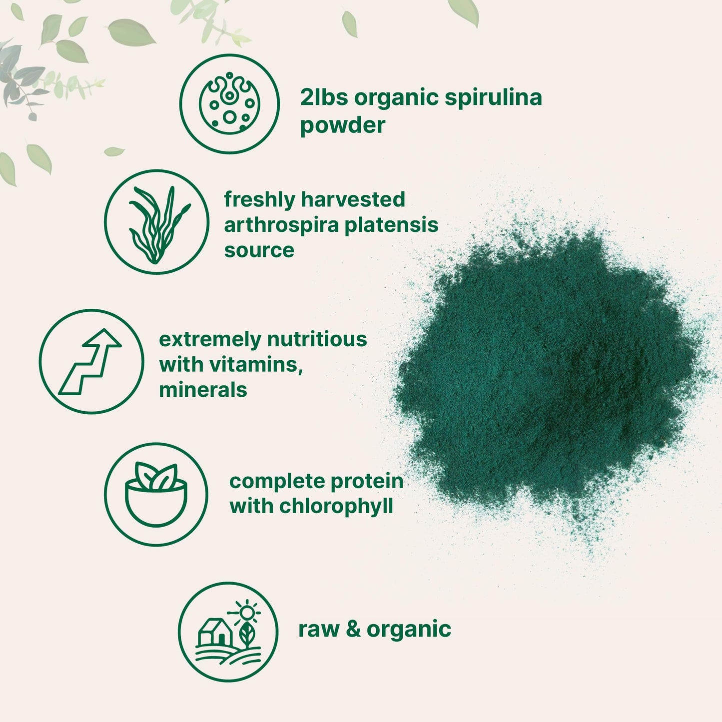 Organic Spirulina Powder 2lbs | Raw Blue-Green Algae | Vegan Protein & Antioxidants | Non-GMO & Filler-Free