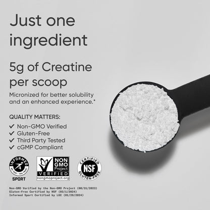 Sports Research Creatine Monohydrate - 5 g Micronized, 17.46 oz | Build Strength & Recovery