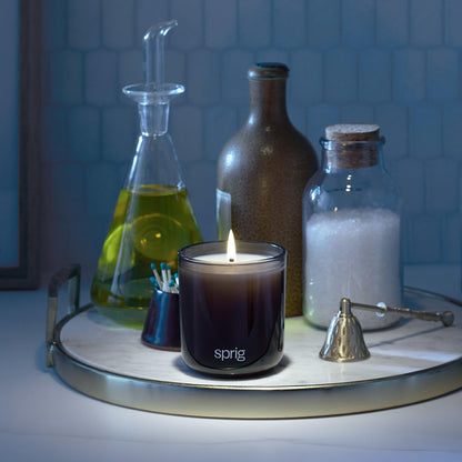 Sprig by Kohler Breathe Aromatherapy Candle – Eucalyptus & Mint, 8 oz
