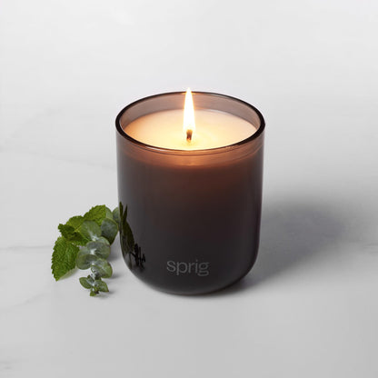 Sprig by Kohler Breathe Aromatherapy Candle – Eucalyptus & Mint, 8 oz