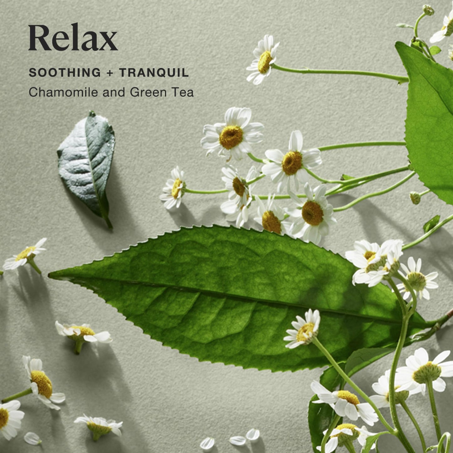 Sprig by Kohler Relax Aromatherapy Candle – Chamomile & Green Tea, 8 oz, 100% Natural Soy-Coconut Wax