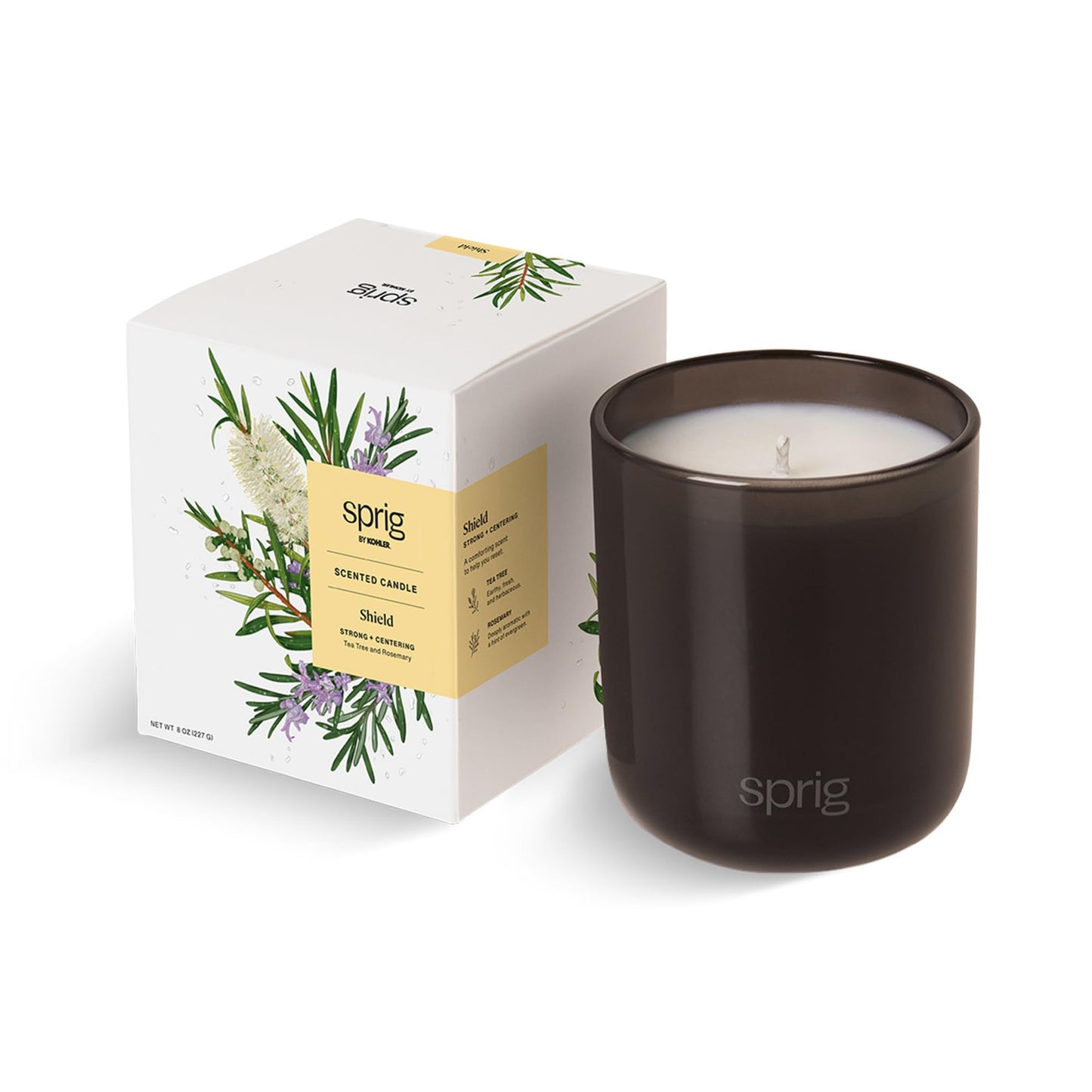 Sprig by Kohler Shield Aromatherapy Candle – Tea Tree & Rosemary, 8 oz, 100% Natural Soy-Coconut Wax