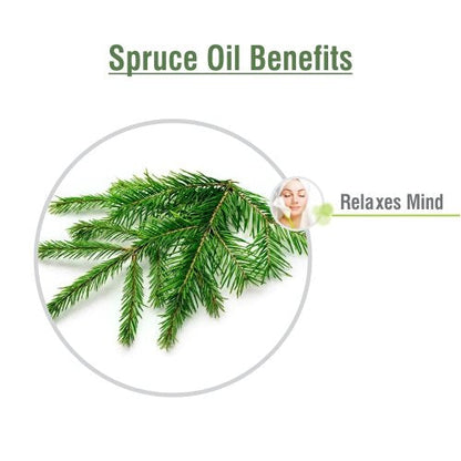 Spruce Oil (Tsuga Canadensis) – Therapeutic Essential Oil, Amber Bottle, 15ml