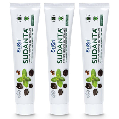 Sri Sri Tattva Sudanta Charcoal Toothpaste Gel – SLS & Fluoride Free Herbal Toothpaste (100g Tube, Pack of 3)