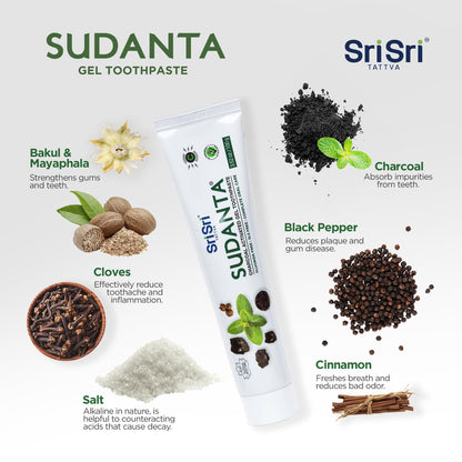 Sri Sri Tattva Sudanta Charcoal Toothpaste Gel – SLS & Fluoride Free, Herbal Neem
