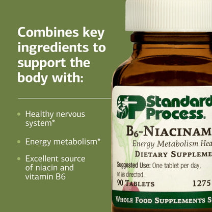 Standard Process B6-Niacinamide – Supports Energy Metabolism & Heart Health | Gluten-Free, Non-Dairy & Non-Soy – 90 Tablets