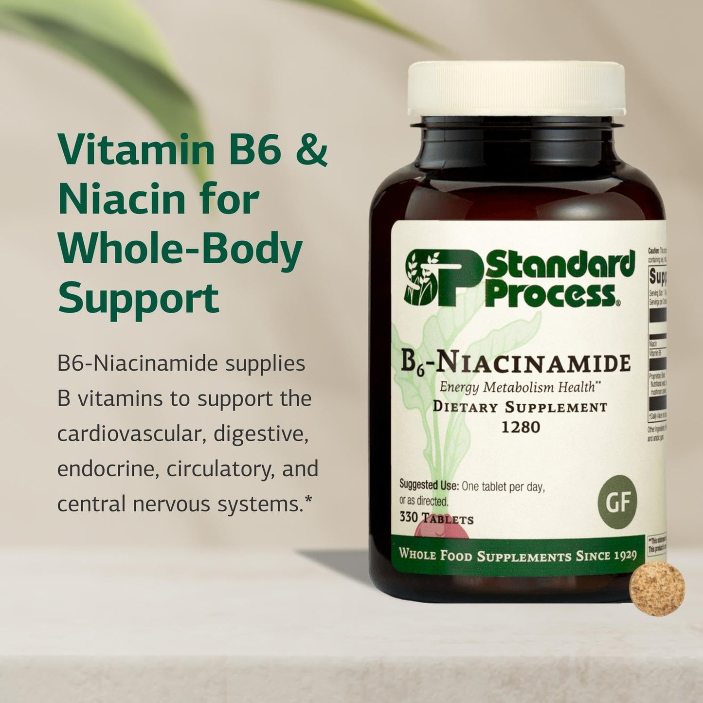 Standard Process B6-Niacinamide: Energy Metabolism & Cardiovascular Support (Gluten-Free, 330 Tablets)