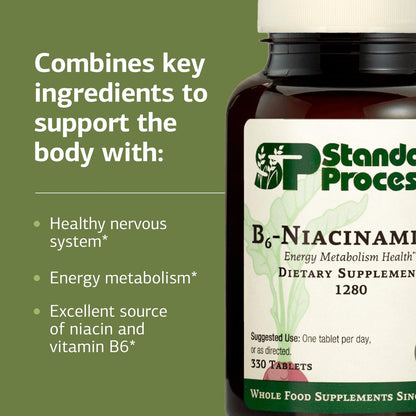 Standard Process B6-Niacinamide: Energy Metabolism & Cardiovascular Support (Gluten-Free, 330 Tablets)