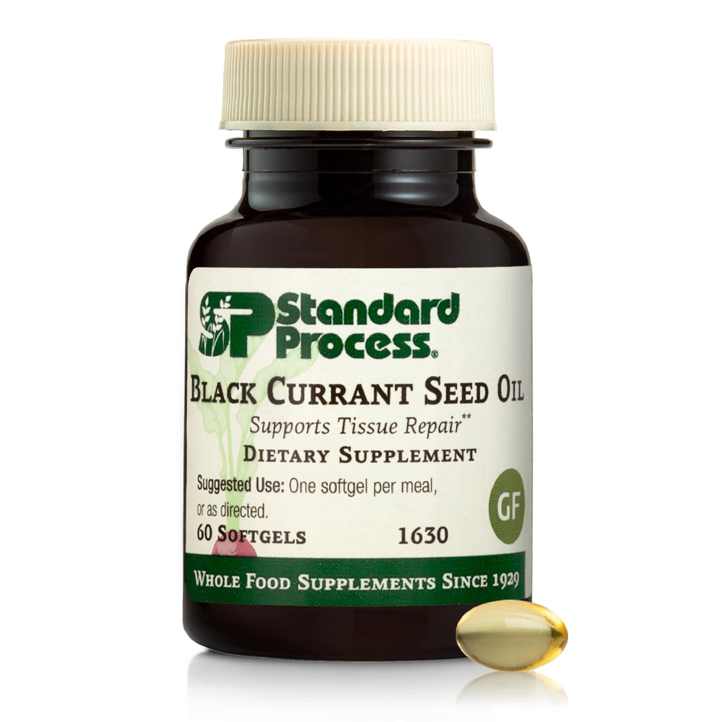 Black Currant Seed Oil by Standard Process – Supports Blood Flow, Immune Function & Tissue Health | Gluten-Free | 60 Softgels