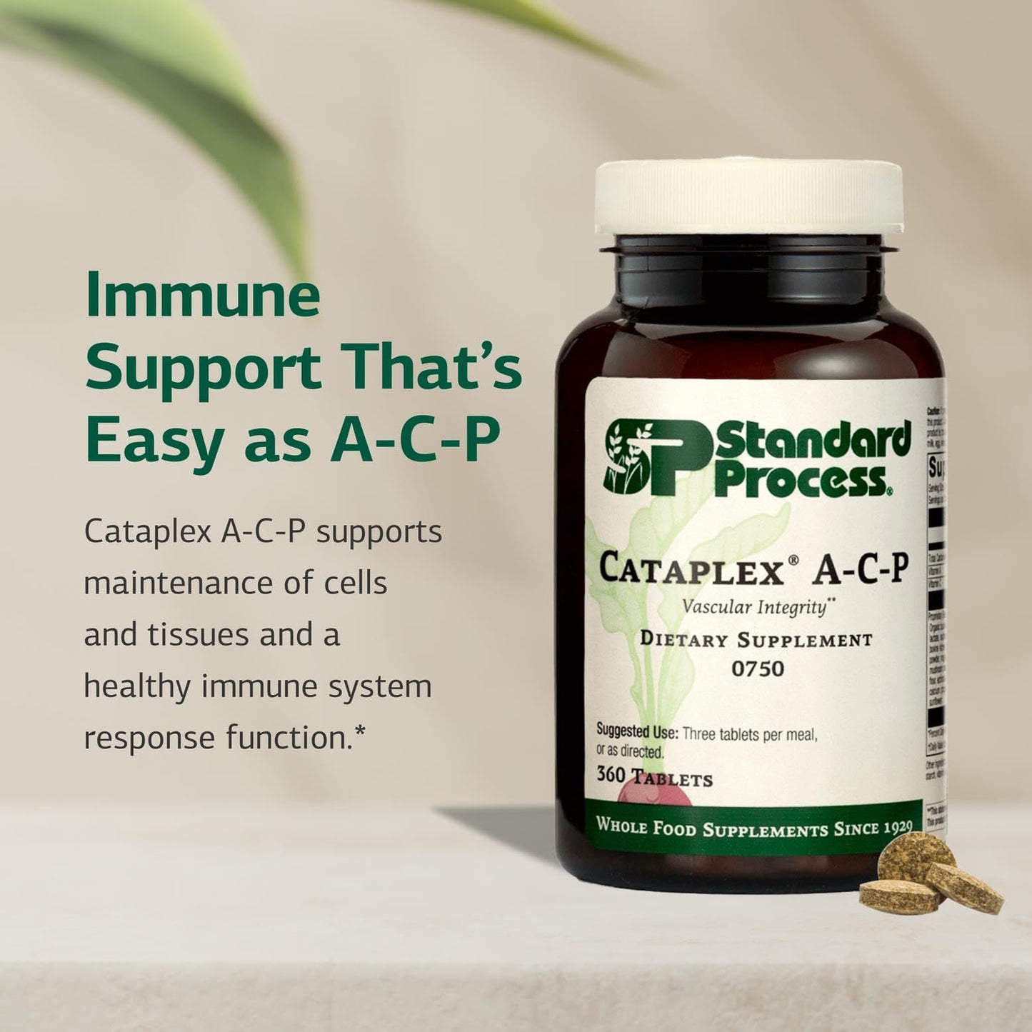 Standard Process Cataplex A-C-P: Healthy Cell & Tissue Support - 360 Tablets (120 Servings) - Non-Dairy & Non-Soy