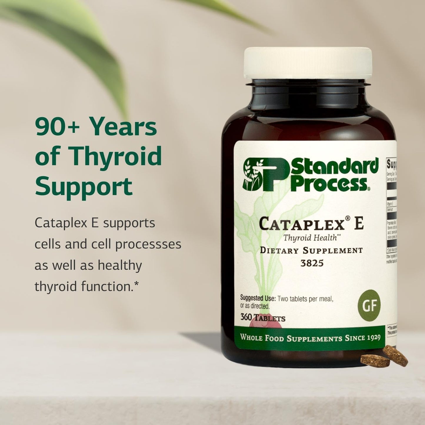 Cataplex E by Standard Process – Thyroid & Endocrine Health, Gluten-Free, 360 Tablets