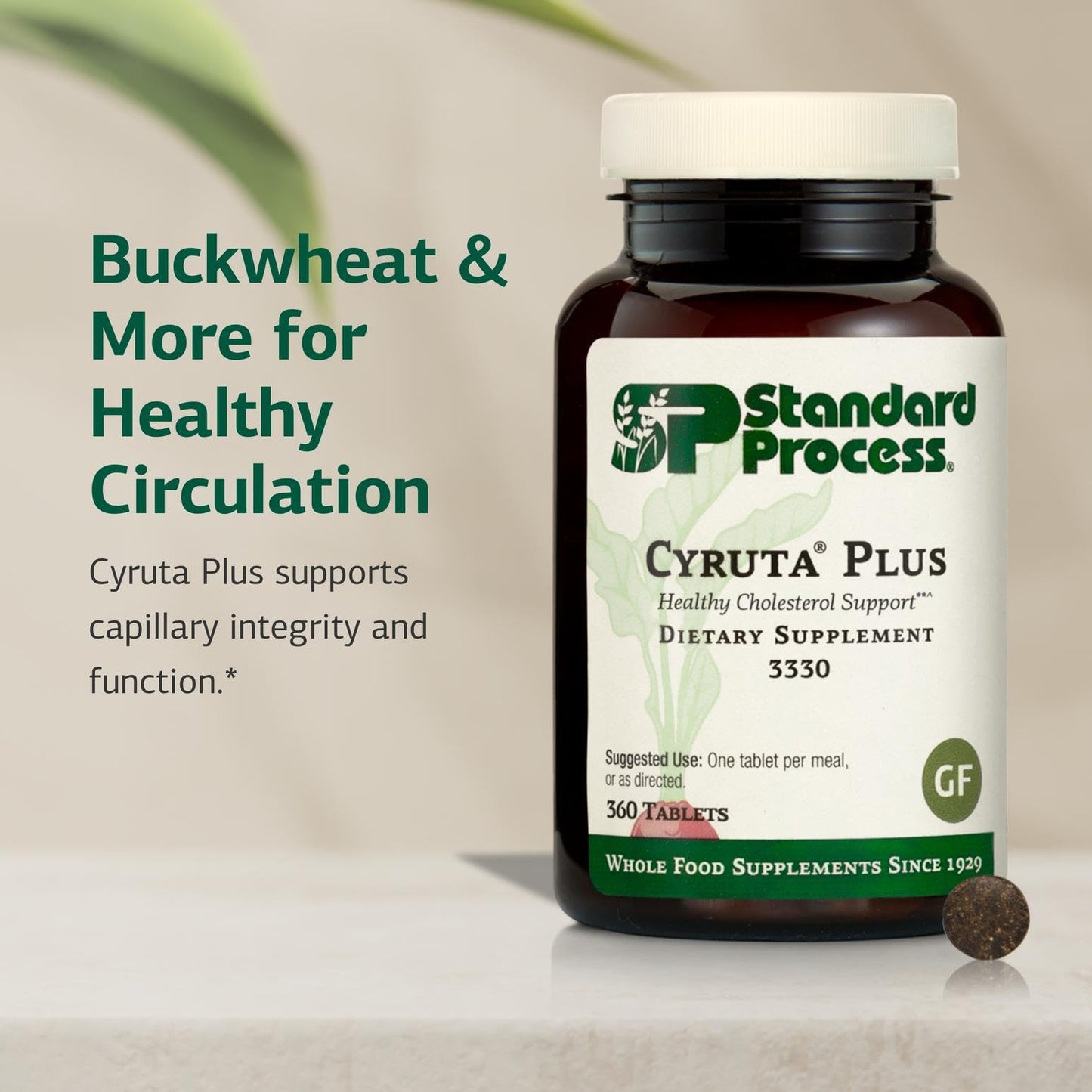 Standard Process Cyruta Plus - Capillary & Circulation Support - Gluten-Free, Non-Dairy & Non-Soy - 360 Tablets