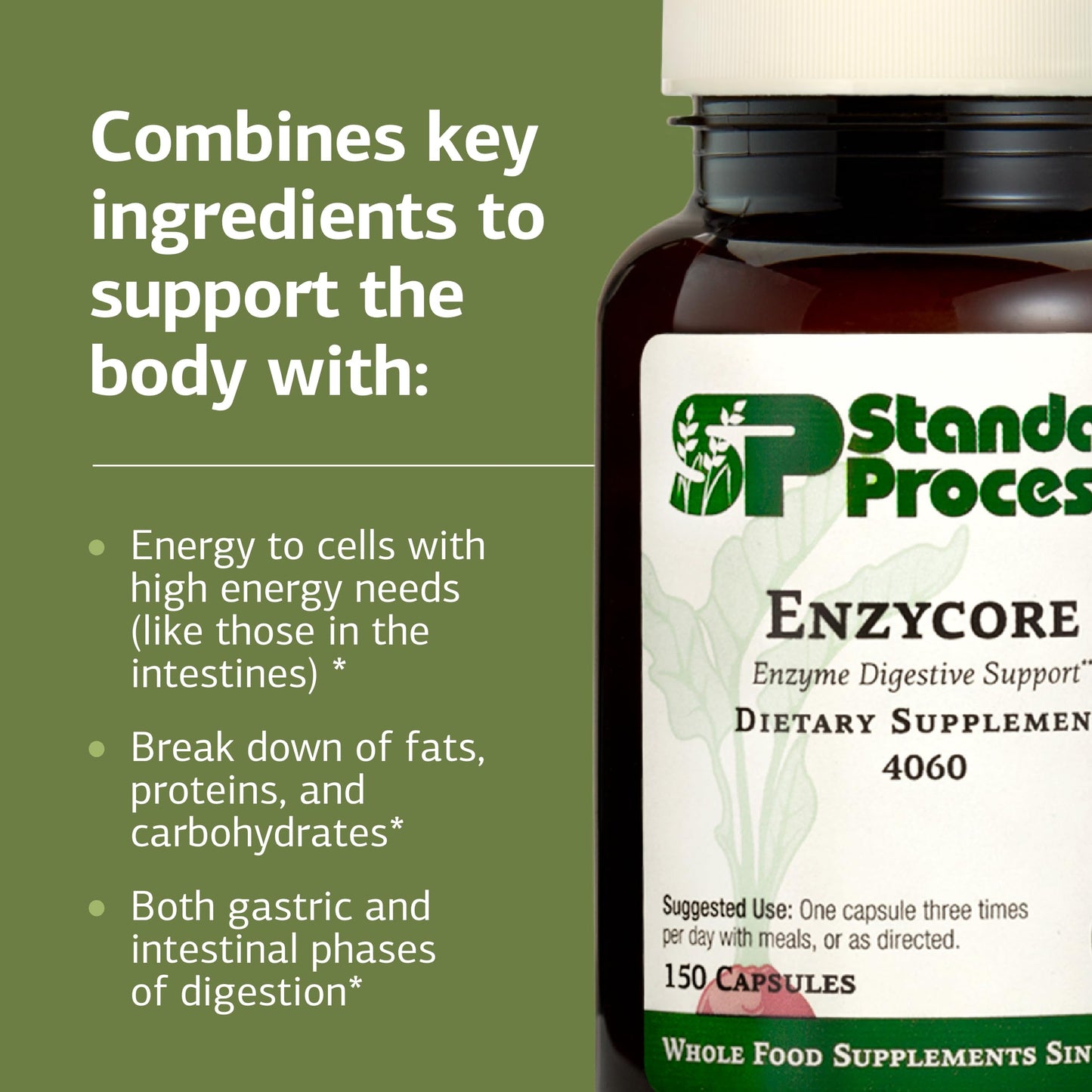 Standard Process Enzycore - 150 Capsules | Digestive Enzyme Support