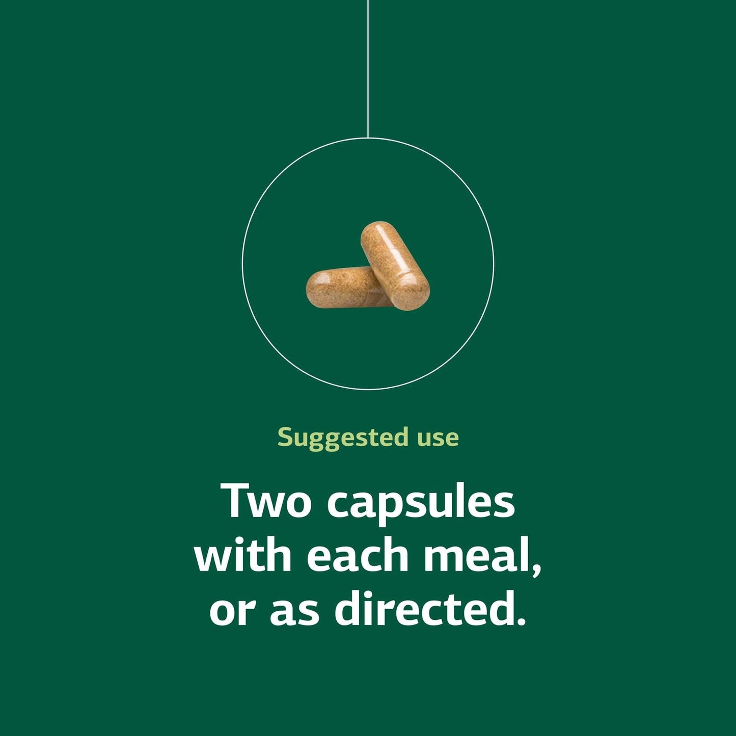 Immuplex by Standard Process Inc. – Daily Immune Support with Folate, Iron, Vitamin C & A (90 Capsules)