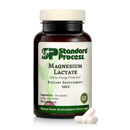 Standard Process Magnesium Lactate 90 Capsules | Energy, Muscle & Bone Support