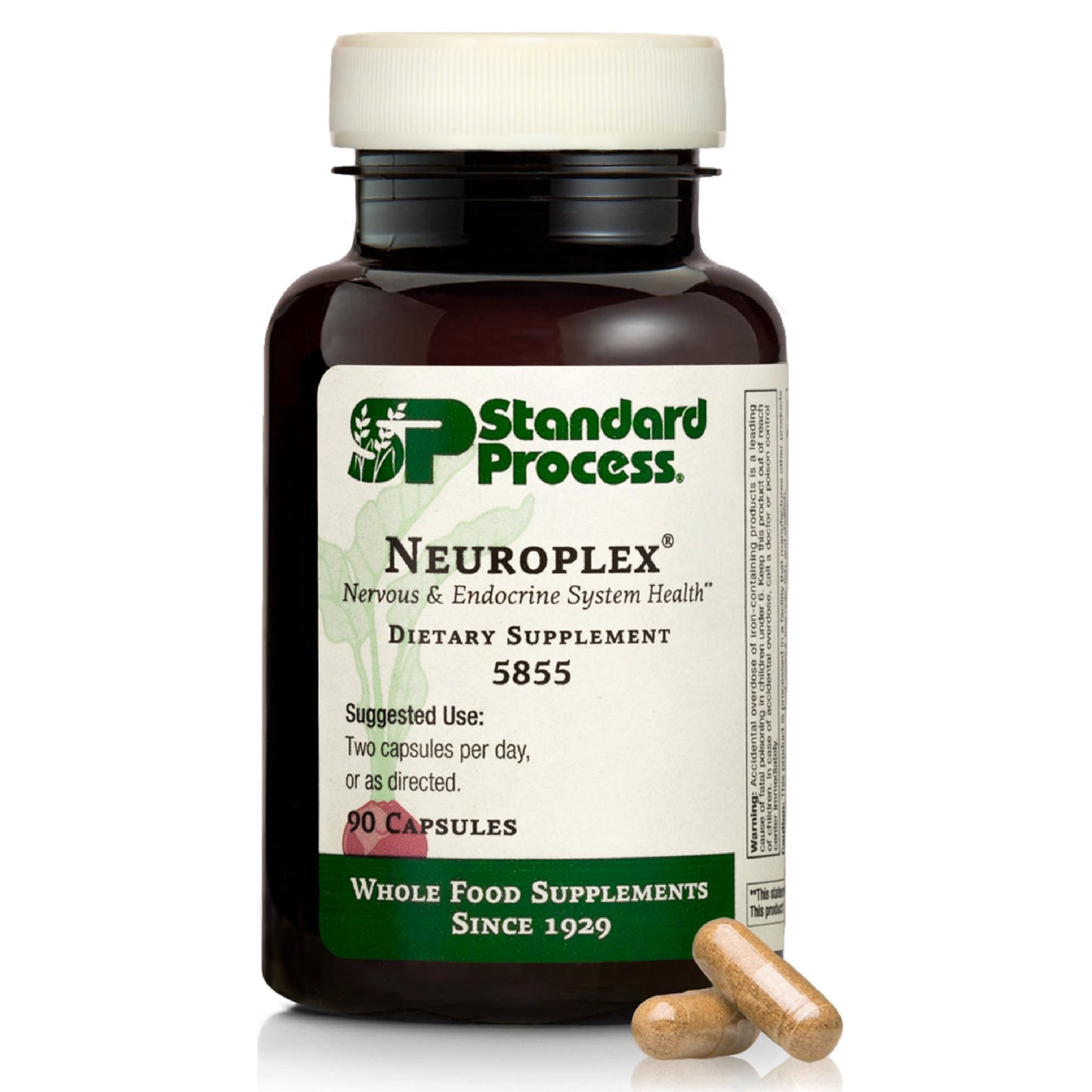 Standard Process Neuroplex – Brain & Nervous System Support (360 Tablets)