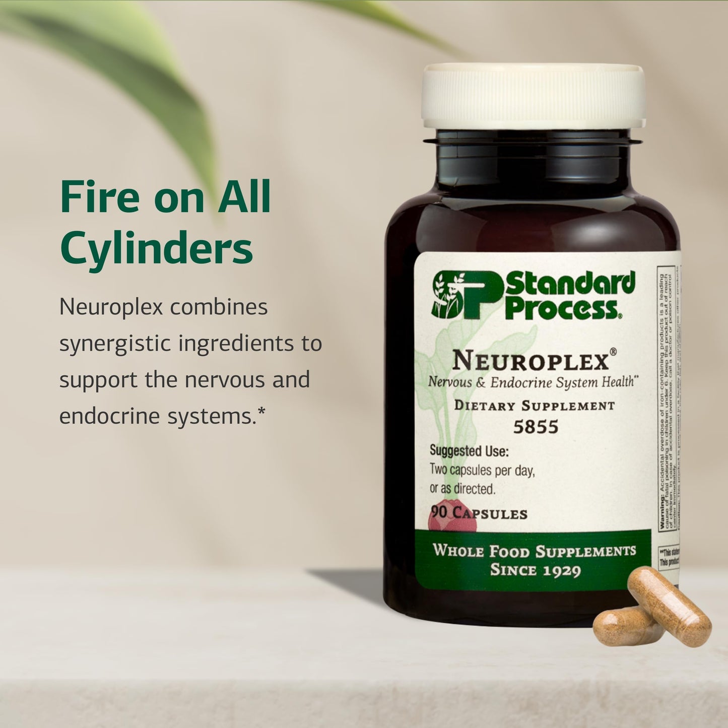 Standard Process Neuroplex – Brain & Nervous System Support (360 Tablets)