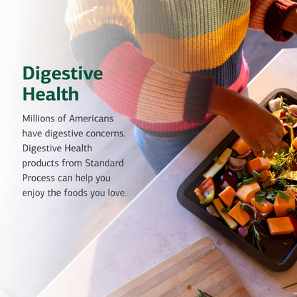 Standard Process Prebiotic Inulin – Gut Health & Immune Support